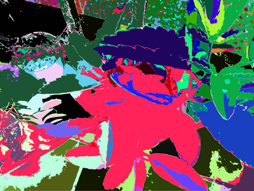 Picture